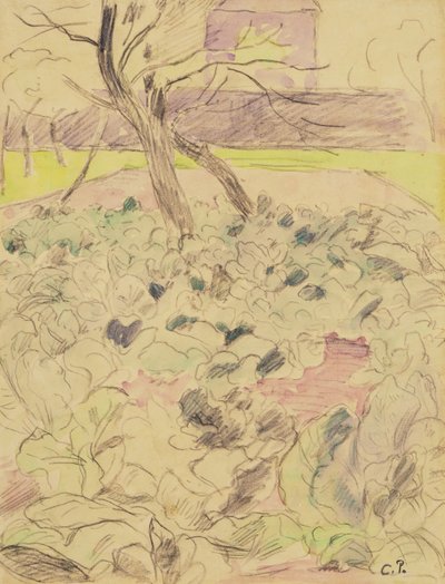 The Cabbage Field, c.1880 by Camille Jacob Pissarro